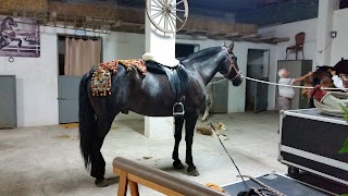 Centro di Equitazione Equus