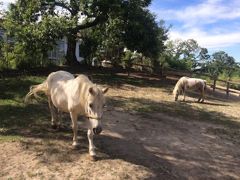 V-Ranch Centro Turismo Equestre