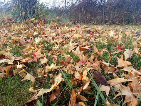 Parco Giochi Comunale Giovenzano