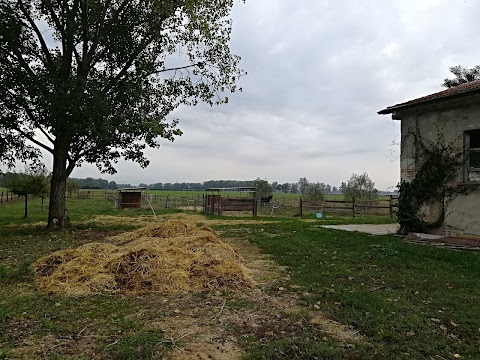 Le Colombaie - Maison de Charme