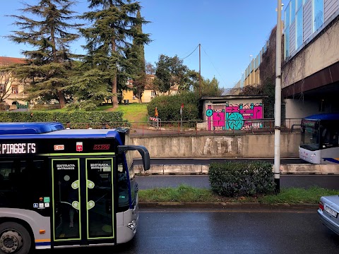 Istituto tecnico e professionale - Leonardo da Vinci