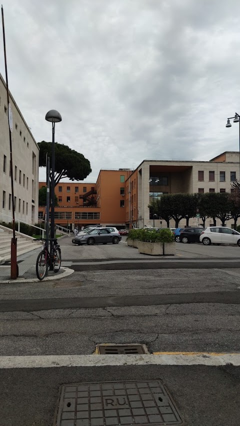 Facoltà di Giurisprudenza, Università degli studi di Roma ''La Sapienza''