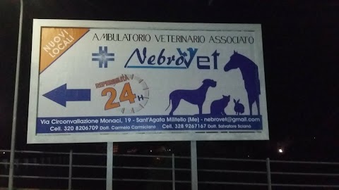 NebroVet Ambulatorio Veterinario Associato