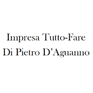 Esperto Tuttofare di Pietro D'Aguanno