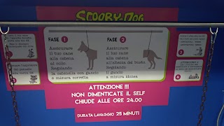 Scooby Dog Self Wash