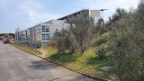 Macroarea di Ingegneria - Università di Roma Tor Vergata