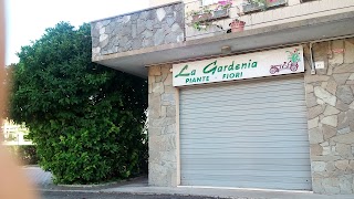 La Gardenia Di Reverberi Antonella Piante E Fiori