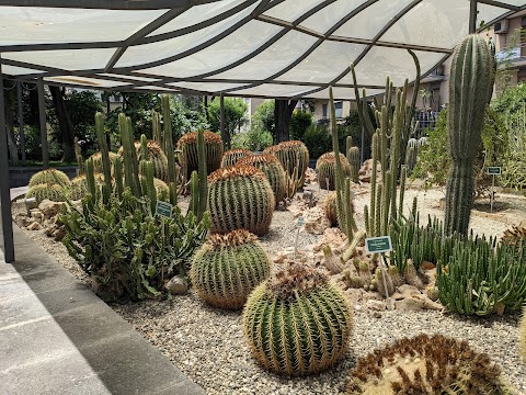 Orto Botanico di Catania