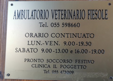 Ambulatorio Veterinario Fiesole