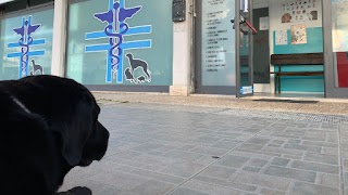 C.V.A. CENTRO VETERINARIO APRILIA dr BOGGIAN SILVIO