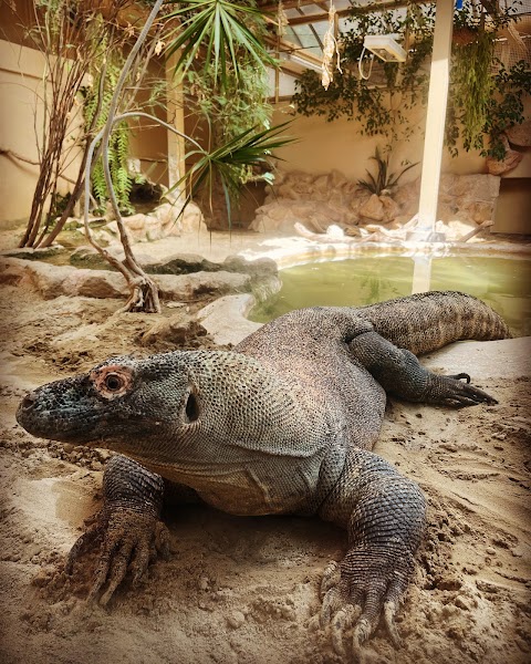 Bioparco di Roma