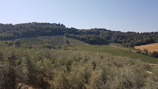 Poggio ai Monti - La Buca