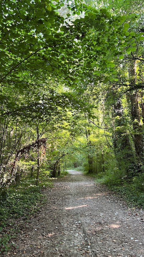 Bosco Della Bota