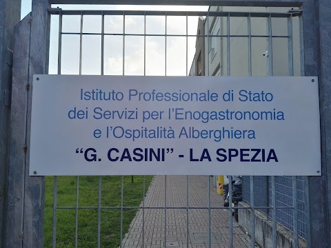 Istituto Professionale di Stato