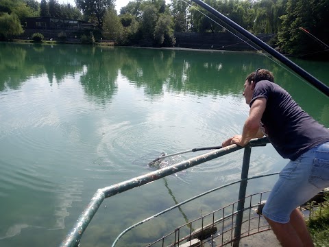 Lago dei Cigni