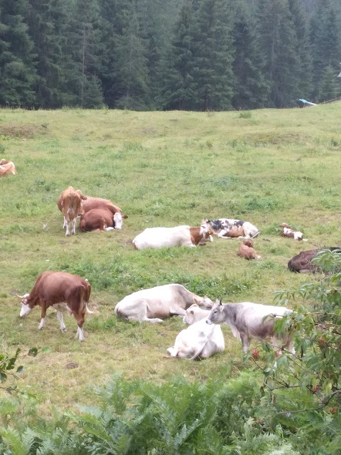 Valle di Campovecchio