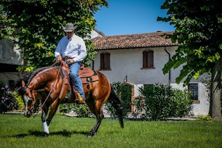 ASD Veronese Reining