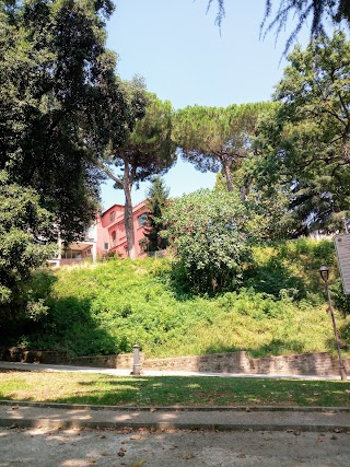 Scuola Media Statale "Andrea Velletrano"