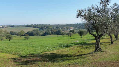 cave di fosso del Drago