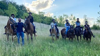 Acavalloconale passeggiate a cavallo Roma Nord