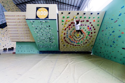 Urban Wall - Milano Climbing Factory