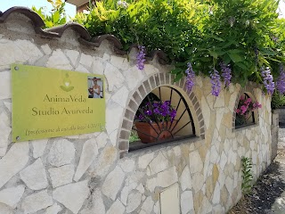 Animaveda- massaggi Ayurveda a Roma-