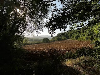 bosco dei Renai