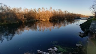 Il Ramo Delle Streghe