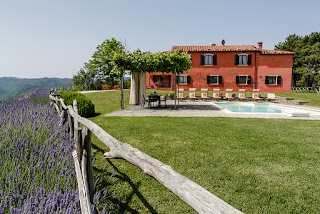 Villa La Collinaccia