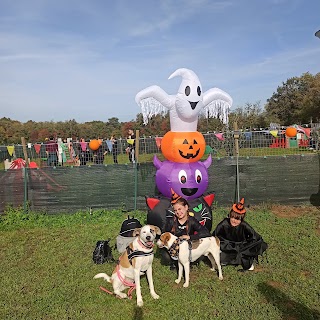 Iagolandia Parco Giochi a tema Per Cani