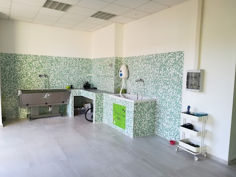 Vanity Dog - Salone di Toelettatura e SPA