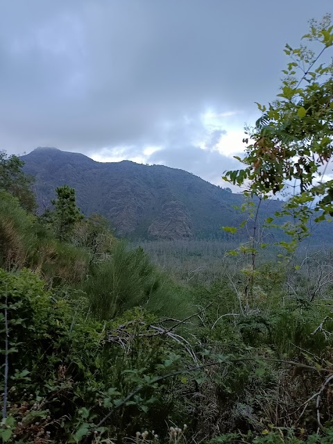 Associazione Vesuvio Natura da Esplorare