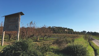 Azienda Agricola Meazzini - Agriturismo L'Isola