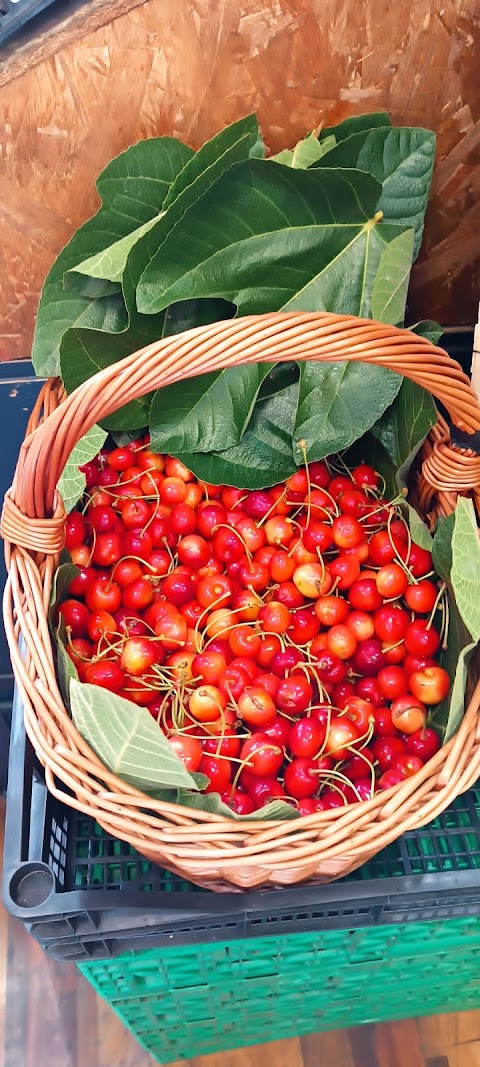 Frutta e verdura Yanis genova