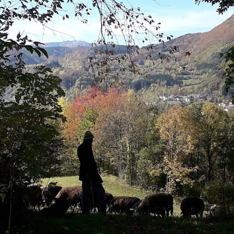 Fattoria Campo delle Sore