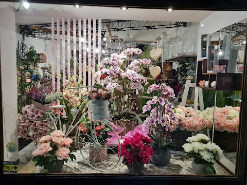 LA BOTTEGA DEL FIORE DI GAIO DOMENICO