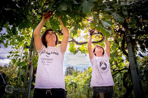 Cantina e Distilleria Artigianale Ricasoli - "Le Vigne del Capitano"