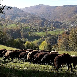 Fattoria Campo delle Sore