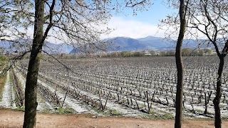 Lovera Franciacorta