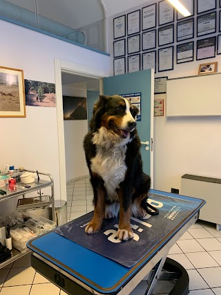 Luca Dr. Ferrero Medico Veterinario