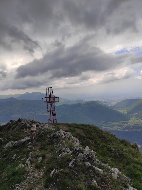 Monte Rotonaria