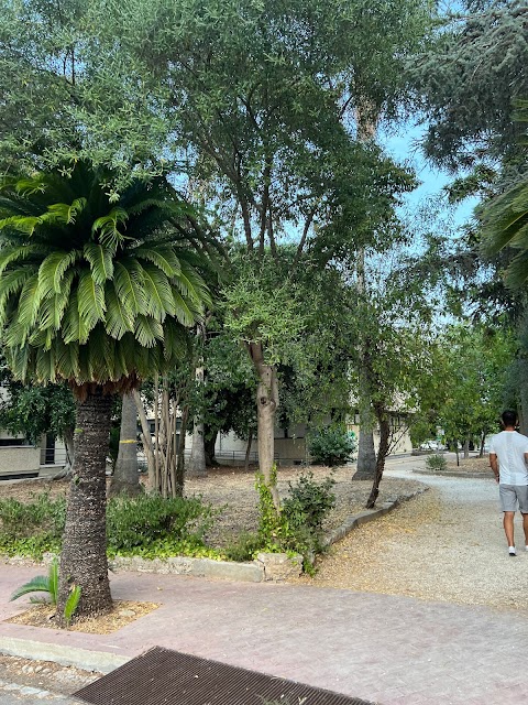 Calisthenics Siracusa