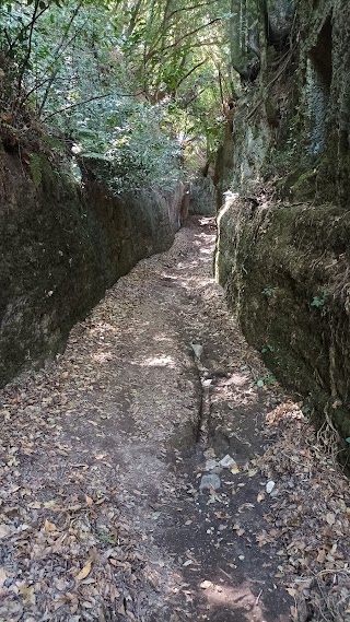 Via cava della Cannara