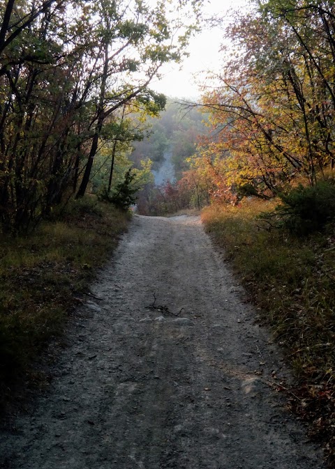 Sentiero Naturalistico del Boschetto