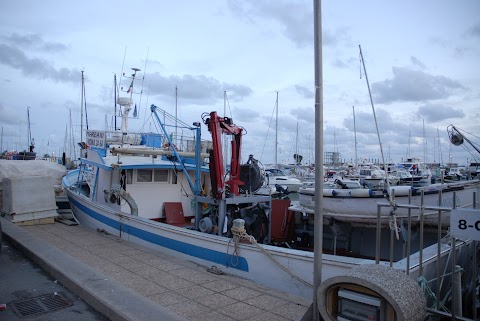 Nettuno Yacht Club