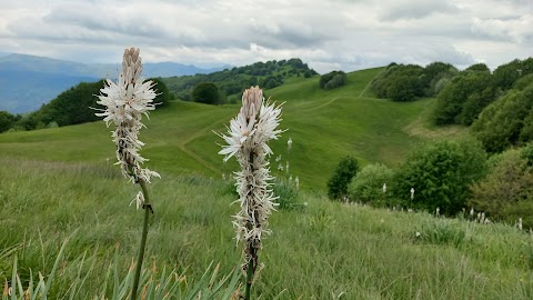 Pian Della Cavalla