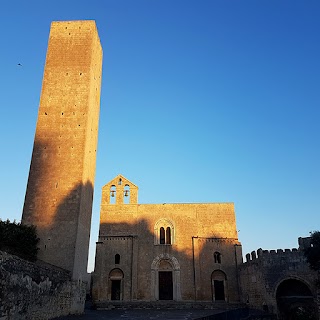 Claudia Moroni Guida Turistica Ufficiale Tarquinia