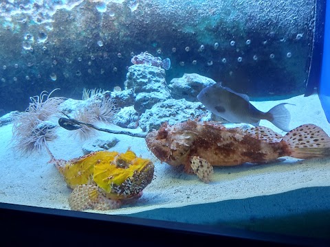 Acquario del Salento