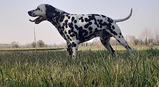 Ambulatorio Veterinario Dr. De Bernardi