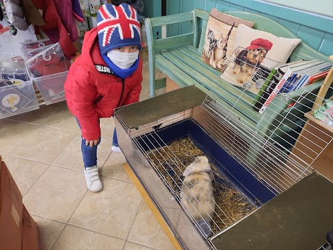 Il Piccolo Zoo di Mery